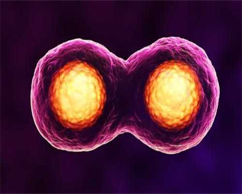 代怀代生孕_三代试管包男孩费用|2026
东营人民医院试管婴儿费用一览，附试管