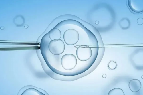 0P87v_科技孕育生命 致爱试管婴儿