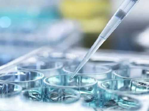 代怀孕公司费用_代怀孕有哪些方式_2026济源胎停多次可不可以做试管婴儿？