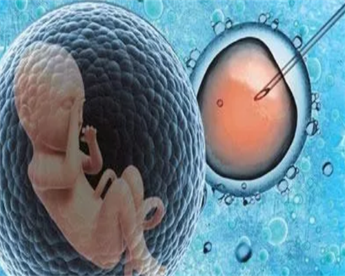 国内首例"种植窗"移植第三代试管婴儿在鄂诞生
