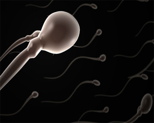 合肥借卵成功率高吗 2026年合肥能试管包生男孩的医院名单 ‘阴超胎囊48mmx15m