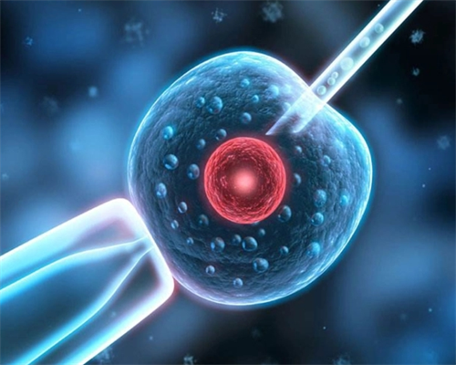 女性试管婴儿有多大年龄要求?年龄影响成功率吗?