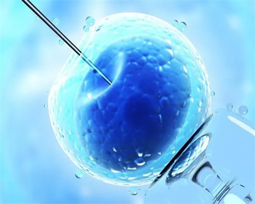 辅助代怀网_哪有代怀孕_想要生男孩,在五指山市有医院能做第三代试管婴儿?