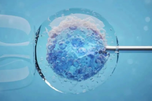 南昌男代孕价格|9nupw_izx1g_60岁自卵试管婴儿成功案例有吗？_0PkLO_o74Kw