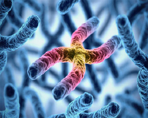 三代试管.包出生_代怀qq群有吗|揭阳医院做试管婴儿多少钱?