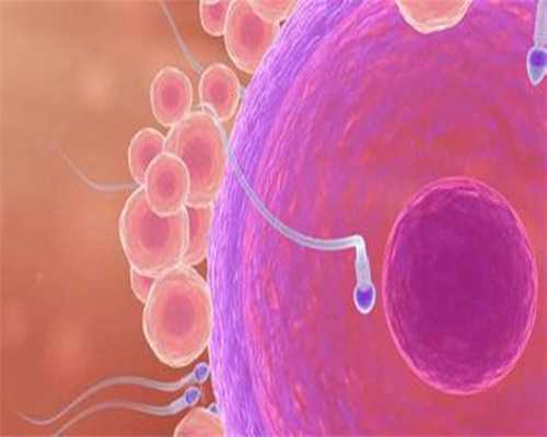 试管婴儿或者代孕的孕妈妈为什么会去做亲子鉴定？