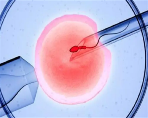 2026哈尔滨市第一医院供卵生男孩试管收费标准代孕医院供卵生男孩排队时间