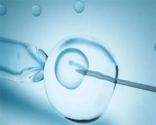 智商可预测，未来试管婴儿将可选择“最聪明的”胚胎