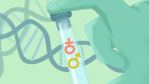 合肥最好供卵机构|合肥做个试管婴儿要多少钱?附2026合肥试管生男孩医院名单