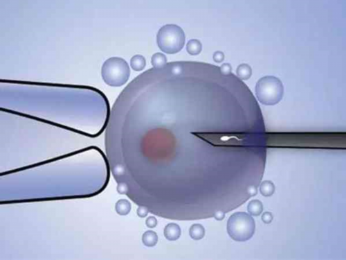 代怀服务公司_代怀哪家靠谱_孕妇可以吃桃吗?答案或如你所愿,但吃桃子这部