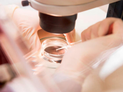 代生找妈妈_代生费用包成功|2026
石家庄试管婴儿助孕费用明细一览表-附成功率