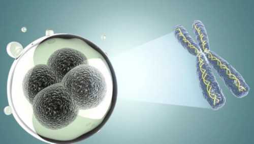 代怀孕领跑者_代怀怎么操作_上饶试管双胞胎费用是多少？生双胞胎的概率大不