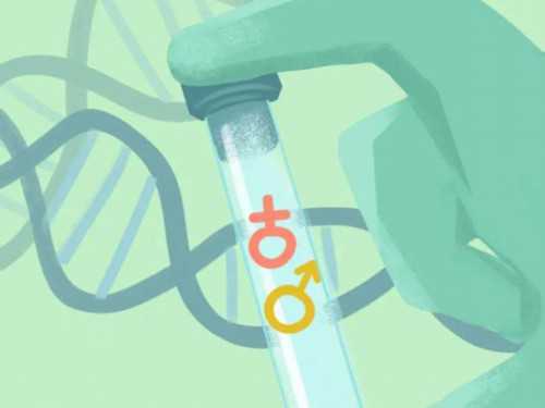 代怀宝宝价格_代怀代生男宝宝_U0775_健康周刊地贫父母可孕育健康宝宝