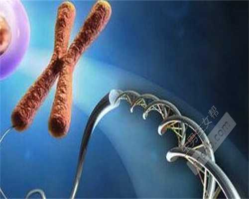 试管婴儿或者代孕的孕妈妈为什么会去做亲子鉴定?