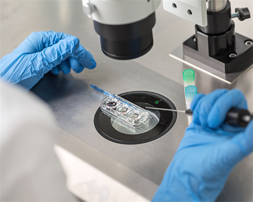 55岁借卵自怀_AA69代孕合法吗_青岛供卵试管比普通试管贵吗 青岛三代试管供卵包