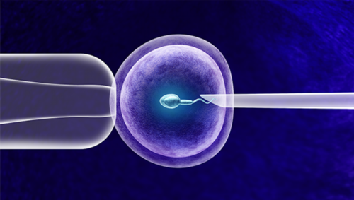 三代助孕试管成功率_世纪专业代妈|2026
在宁夏做试管费用大概要5-15万,内附最