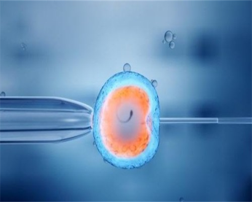勿轻信代孕信息 青岛仅有两家医院可做试管婴儿