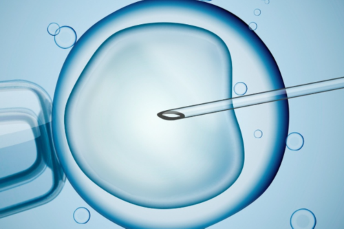 合肥借卵自怀 合肥试管取卵后的注意事项 ‘nt胎儿头型看男女’