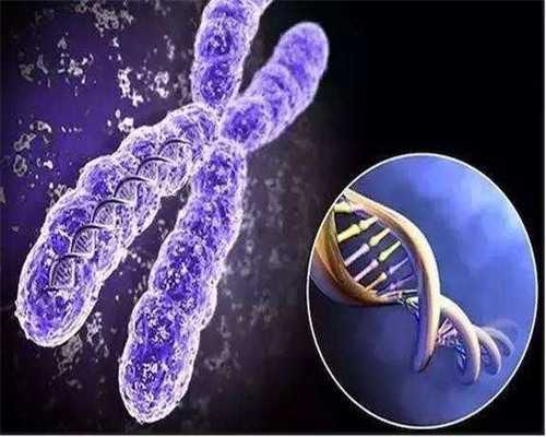 中国靠谱的代生机构_上思代孕选男女|丽水试管婴儿医院排名前十的有哪些？附