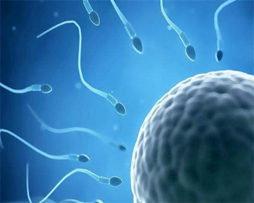 代怀总部地址_代生代怀孩子_「三代试管选性别生男孩」宣城三代试管选性别