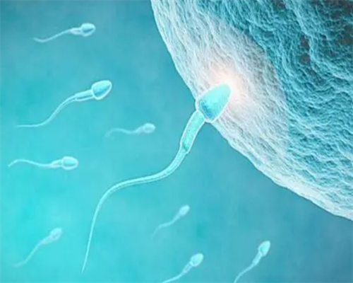 2026
年国内正规机构做三代试管婴儿费用要多少钱？