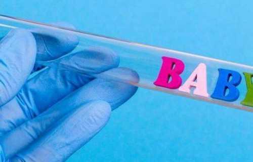 三代试管抽血验孕_50岁借卵助孕|2026
濮阳试管婴儿最强攻略，医院、成功率、费