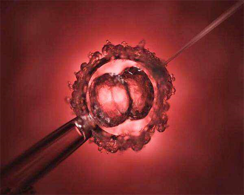 代怀孕合法_代怀孕哪里靠谱_2026乌海试管婴儿医院排名,这家医院才是首选