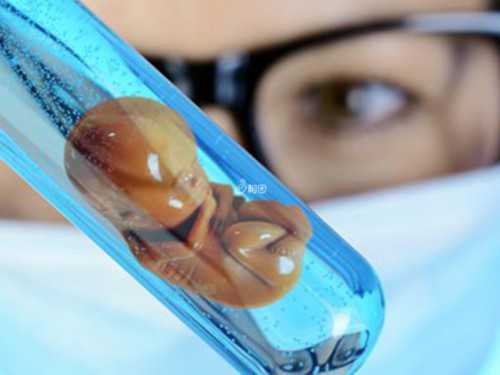 代怀孕价格世纪_哪里找代怀女_宫寒可以做试管婴儿吗