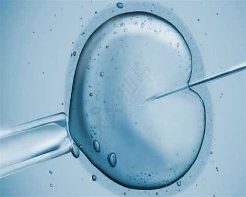 试管婴儿或者代孕的孕妈妈为什么会去做亲子鉴定?