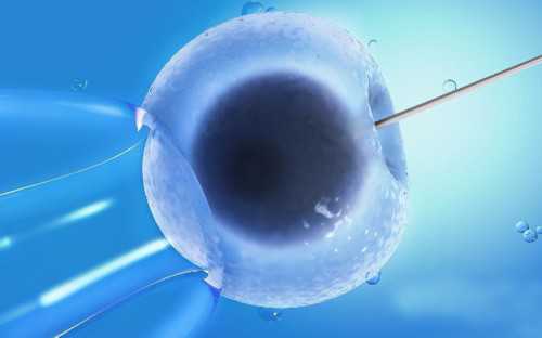 香港大龄试管婴儿费用多少？附费用明细！