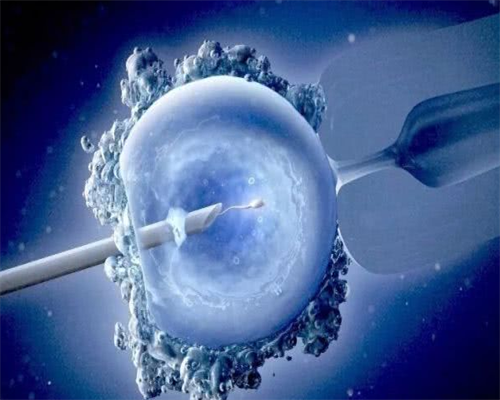 试管婴儿30年:别说不想生,怀个娃没你想得那么简单