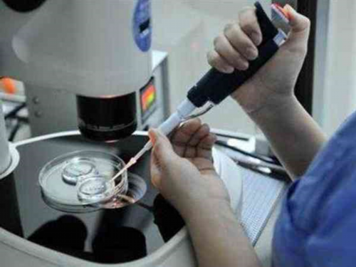 合肥省立医院试管贵吗,合肥省立医院三代试管