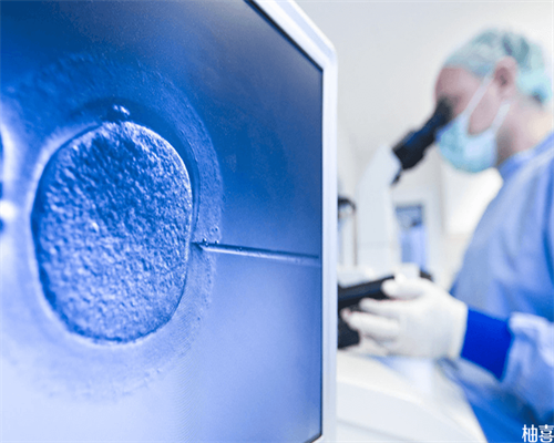 代怀代生宝宝费用_代怀网排名_2026年宁夏试管婴儿生子机构名单公布！附试管生