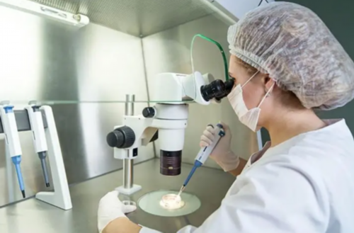 代怀小孩哪家便宜_供卵代怀包生男女_新密做试管婴儿费用最低3万起？看你选国