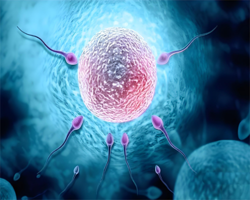 不育症免疫检查有哪些?胎停免疫检查项目