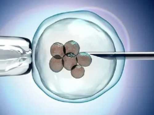 合肥代孕公司网址|巢湖三代试管婴儿成功生下龙凤胎?合肥三代试管婴儿费用