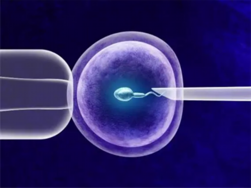代生案例_代生的价位|云南昆明三代试管哪个医院好?