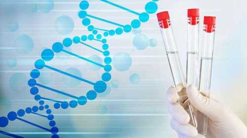 月经期也叫卵泡期吗