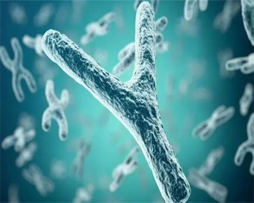 试管婴儿或者代孕的孕妈妈为什么会去做亲子鉴定？