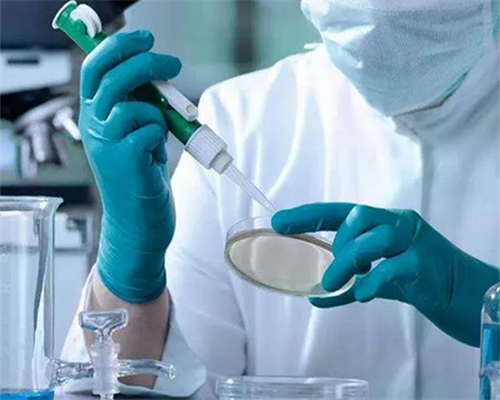 何时有合法代怀_代怀机构排名_2026茂名试管婴儿医院排名，附成功率及费用介绍