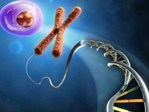 2026供卵_中泰代生机构_浙江代生网电话 为什么在浙江供卵试管卵源等待时间长