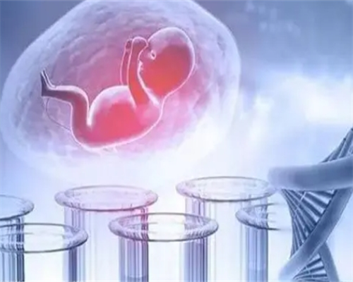 厦门做试管婴儿费用都有哪些？试管婴儿收费标准