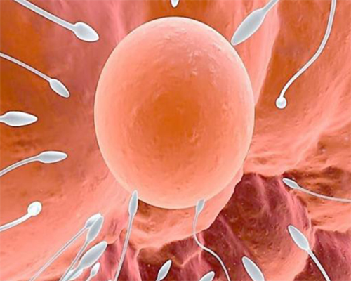 代怀包生男孩_代怀包成功多少钱_怀孕后产检每次都要抽血,真的有必要吗?