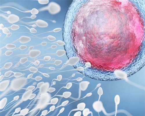 合肥一次代生费 2026合肥供卵试管婴儿医院排名 ‘孕囊大小长宽高怎样看男女’