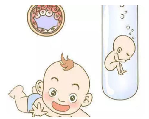 52岁高龄试管借卵成功率分享，真实数据告诉你没想象中高