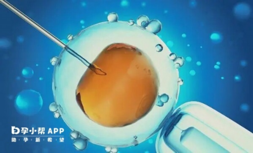 试管婴儿或者代孕的孕妈妈为什么会去做亲子鉴定？