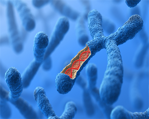 什么情况下要做三代试管？取卵周期有哪些步骤？