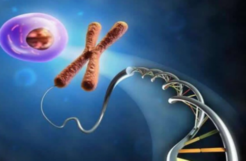 50岁借卵代生_2万找私人代妈|许昌第三代试管移植成功率高吗?