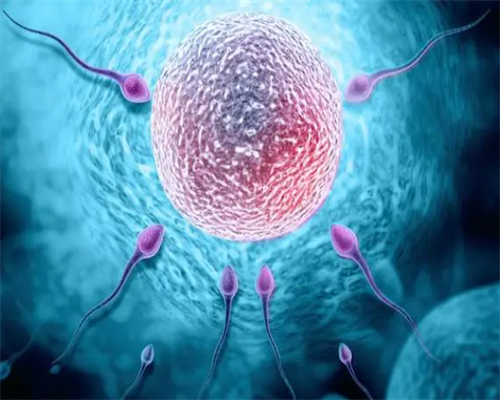 安徽iso认证,安徽iso认证办理电话,安徽iso认证机构