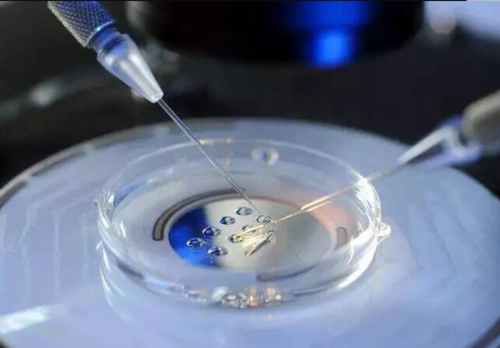 有合法代生孩子_代生贵不贵|云南供卵试管:云南第三代试管婴儿费用大约多少